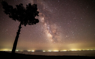Wall Mural - the beautiful tree silhouette on the milky way galaxy background. dark starry night.