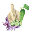 A branch of purple basil, cucumbers and a cutting board isolated on a white background. Watercolor drawing for the design of kitchen textiles and office on the theme of food and vegetables.