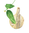 A green cucumber with a leaf and a cutting board isolated on a white background. Watercolor drawing for the design of kitchen textiles and office on the theme of food and vegetables.