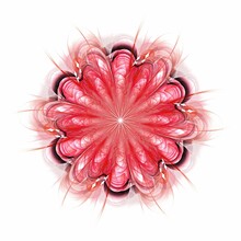 Symmetrical Fractal Flower, Red Digital Artwork For Creative Graphic