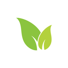 Green leaf logo