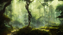 Nature Scene Inside A Tropical Forest With Natural Sunlight Rays Landscape