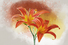 Watercolor Painting Of A Vibrant Orange Day Lily. Botanical Illustration