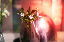 Summer Flowers In The Silver  Teapot, Atmospheric Mood. Summer Garden, Sunlight And Afternoon Tea. Intentional Soft Focus And Vintage Effect