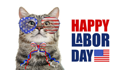 Wall Mural - Happy Labor Day. Cute cat with sunglasses and bow in colors of American flag on white background