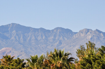 palms and mountatins