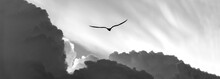 Bird Silhouette Flying Inspirational Banner Black And White
