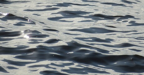 Wall Mural - Closeup of blue gray water photo background with soft waves