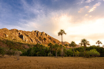 Poster - sunset in the mountains oasis and palms