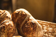 © Wavebreak Media - Close-up of loaf of breads in basket at bakery
