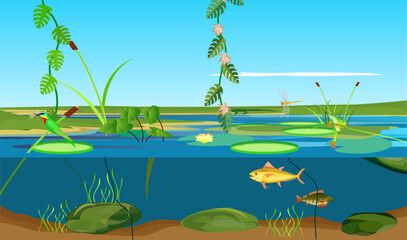 Wall Mural - River tropical ecosystem and Underwater  landscape bird with dragonfly jungle vector 