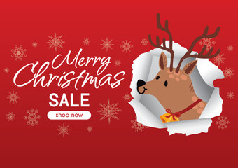 Wall Mural - christmas sale promotion for christmas and new year banner design