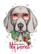 Cute weimaraner dog with a sprig of strawberries. Sweet illustration in hand-drawn style. Stylish image for printing on any surface