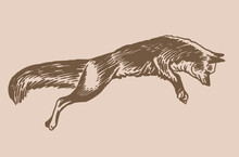 Vector Vintage  Drawing Of Fox Jumping ,graphics