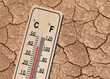 wooden thermometer shows hot temperature on dried cracked brown earth texture, concept of the consequences of climate change and the associated global warming