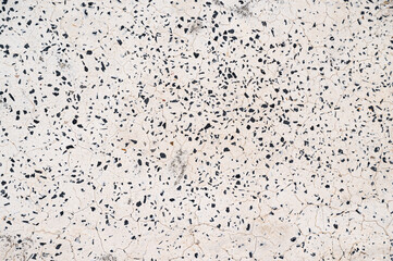 Wall Mural - Abstract white with black dot marble texture background 