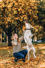 Wall Mural - A beautiful blonde is sitting in yellow leaves in a park and playing with her labrador.