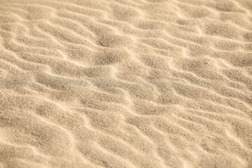  Sand on the beach as a background. Close-up sand texture. Summer sunlight. Top view.