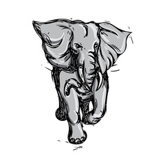 Poster - Elephant Rampaging Isolated Drawing