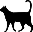 Cat walking Black Shape Silhouette movement isolated element on transparent background  - 1 