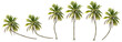 canvas print picture - Coconut trees in different stems, Isolated on transparent background