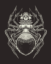 Horror Queen Spider Illustration Background
