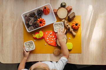 A little girl playing with autumn natural materials and play dough. Educational game for toddlers.  Montessori material. Sensory play ideas and fall nature crafts concept.