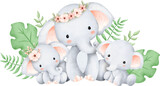 Fototapeta Pokój dzieciecy - Cute elephant family
