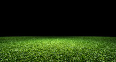 Wall Mural - Abstract green sports pitch background