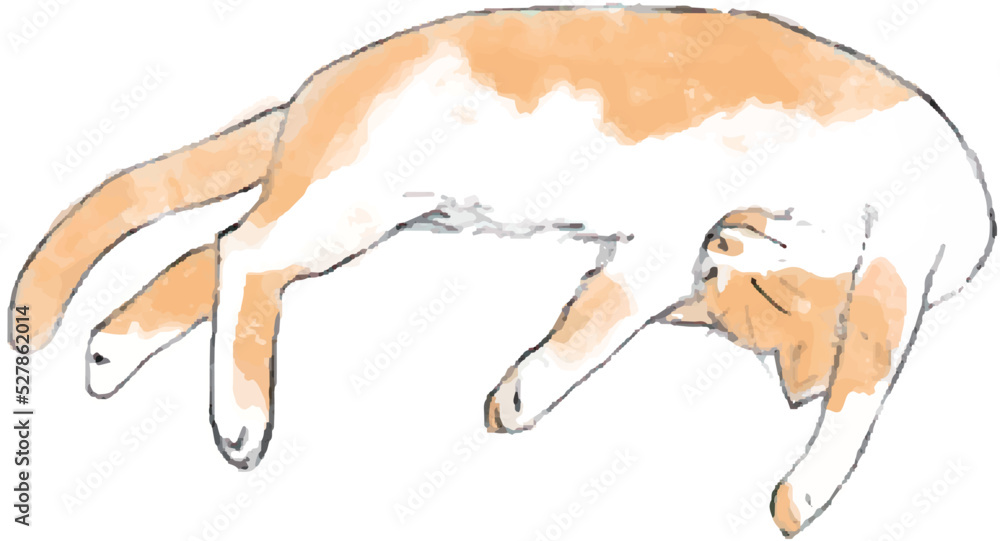 寝転がる猫の手描きイラスト の Stock ベクター | Adobe Stock
