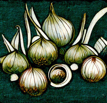 Still Life With Onions And Garlic