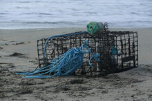 Lobster Cage On The Beach