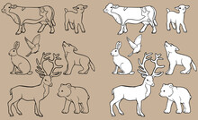 Different Animals Set For Children's Coloring Books. Black And White Vector Illustration. For Coloring Books And Design.