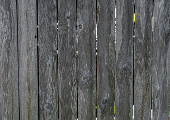 Poster - Planks of aged wood panel fence