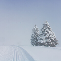 Poster - piste de ski de fonden hiver