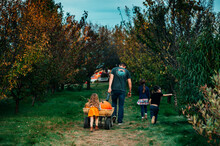 Three Pumpkins In A Wagon Free Stock Photo - Public Domain Pictures