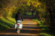 Autumn cycling along a beautiful path among golden red leaves. Road to work by bike. Jesienna jazda na rowerze piękną ścieżką, pośród złotych, czerwonych liści. Droga do pracy na rowerze.