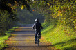 Autumn cycling along a beautiful path among golden red leaves. Road to work by bike. Jesienna jazda na rowerze piękną ścieżką, pośród złotych, czerwonych liści. Droga do pracy na rowerze.