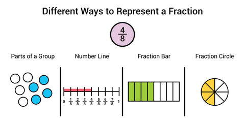 Wall Mural - Different ways to represent a fraction in mathematics. Parts of group, number line, fraction bar and fraction circle of four eighths