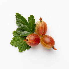 Wall Mural - Ripe red gooseberry berry with gooseberry leaf isolated on white background.