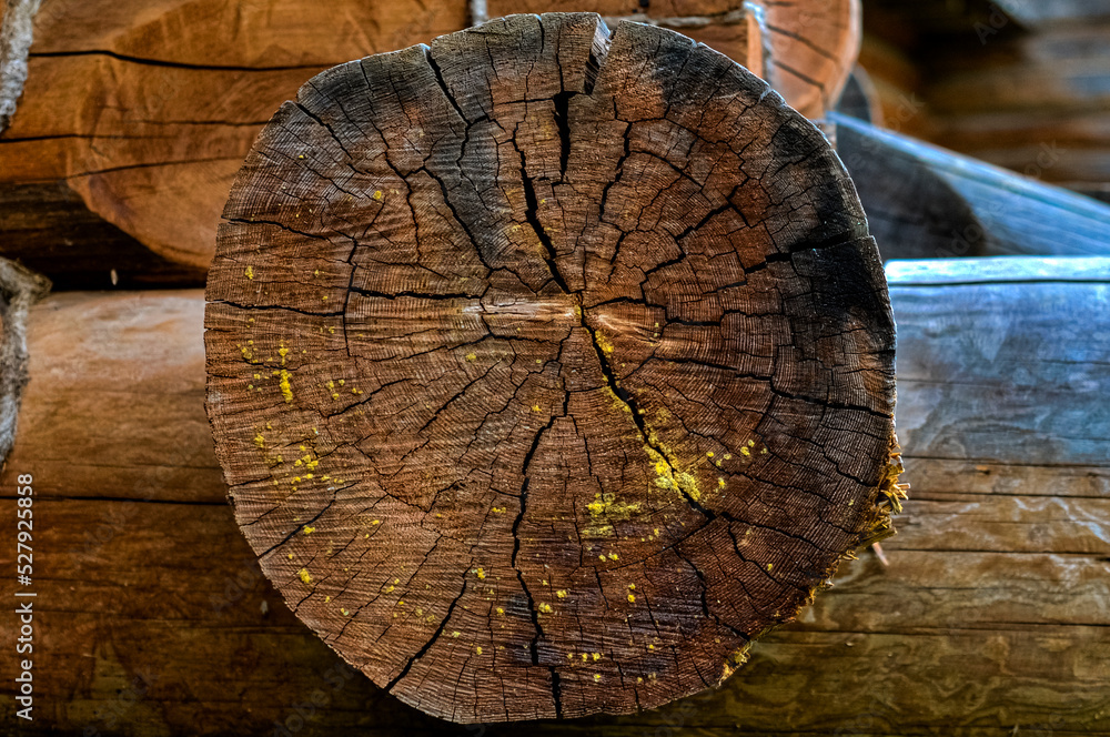 og wall, log bath, log background, logs, pine cylindrical logs, tow, insulation, log joints, background, texture, construction, good resolution, heart shaped wood