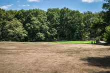 View Of A Dry Meadow By A Green In Wimbledon Common In Summer 2022