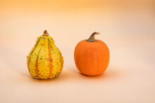 Two Pumpkins Isolated Against A Beige Background In Studio