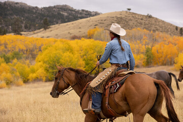 Wall Mural - Cowgirl riding in Aspens and Cottonwoods