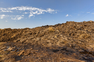 Manure for fertilizing the soil in the field