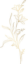 Gold Flower Vector