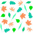 A set of different leaves. Leaves of trees in the style of doodles. Vector illustration.