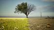 © appledesign - climate change and global warming  drought.