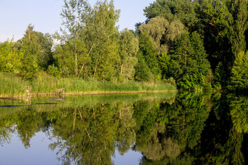 Wall Mural - beautiful nature in sumy, ukraine
