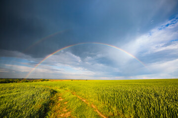 Photo Sur Toile - Tranquil agricultural landscape with a magical rainbow at sunset. Ukraine, Europe.